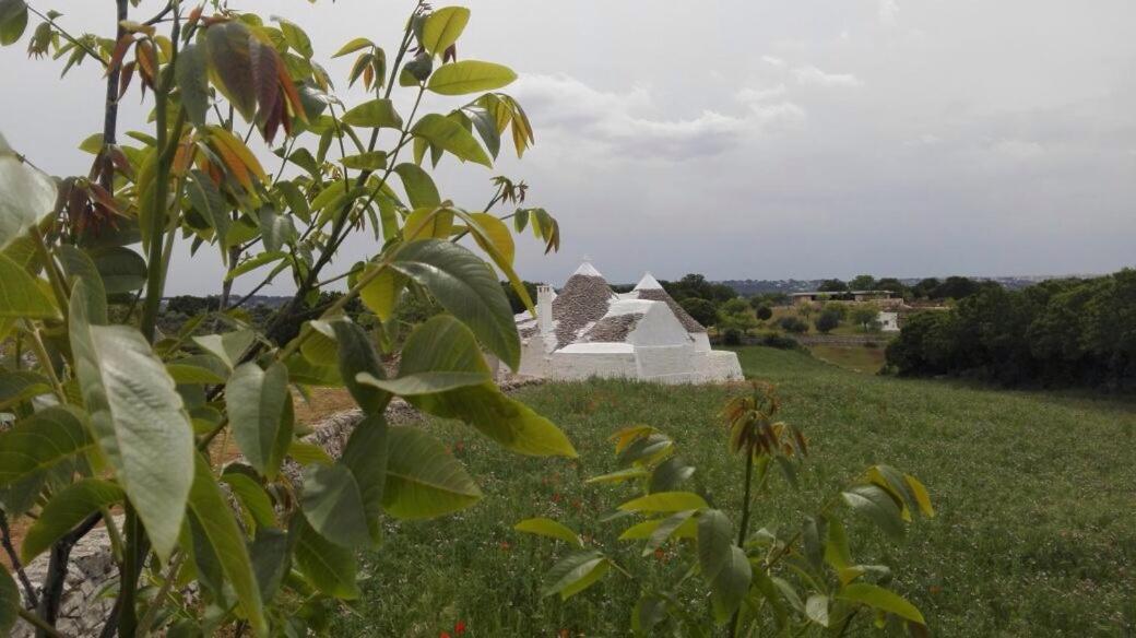 Bed and Breakfast Borgo Trulli 1789 Остуни Экстерьер фото