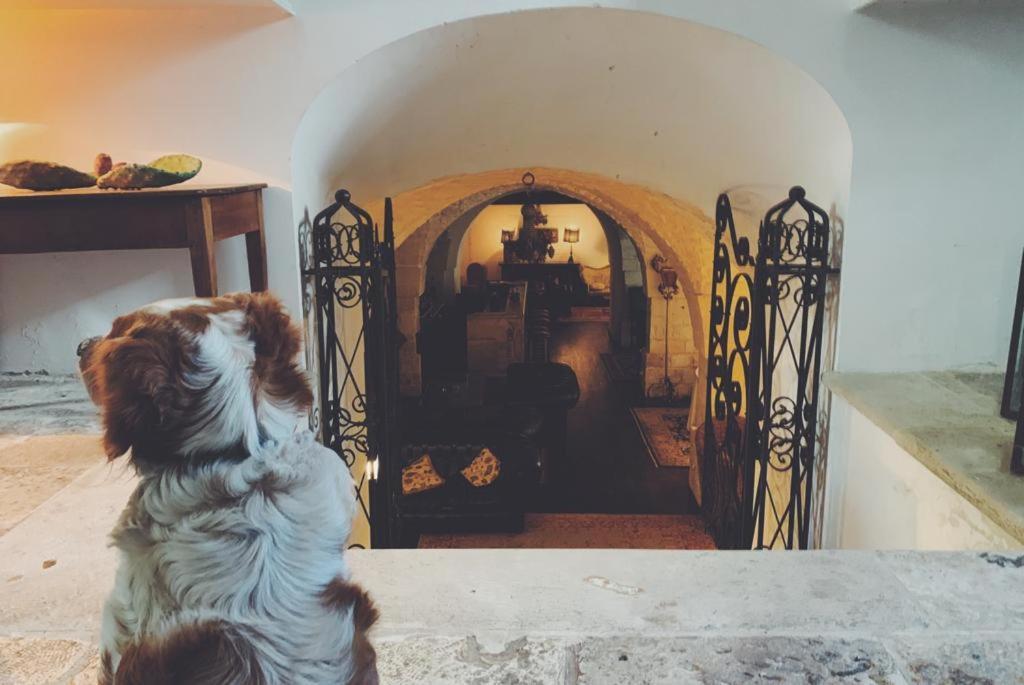 Bed and Breakfast Borgo Trulli 1789 Остуни Экстерьер фото